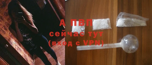 гидра Кинешма