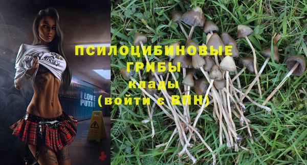 ПСИЛОЦИБИНОВЫЕ ГРИБЫ Корсаков