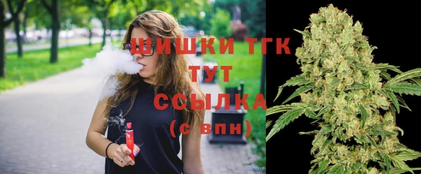 гидра Кинешма