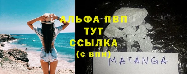 ПСИЛОЦИБИНОВЫЕ ГРИБЫ Корсаков