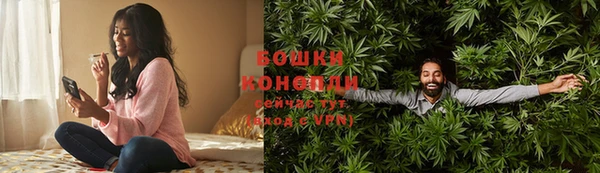 мдпв Кодинск